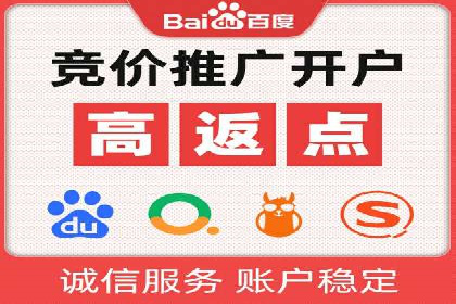 SEM代运营机构案例分析：优化策略详解